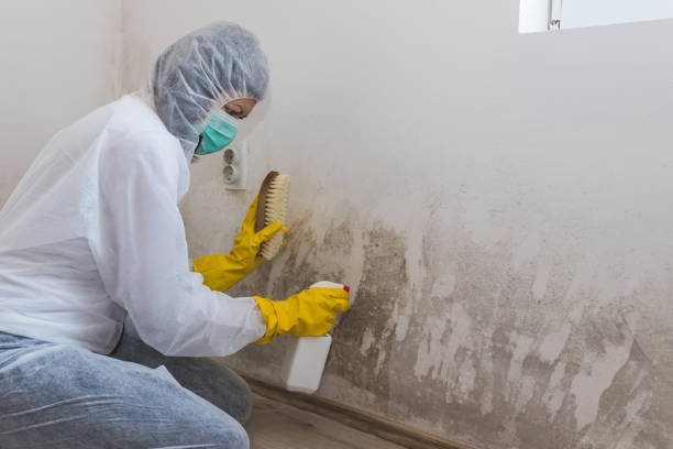 Asbestos and Lead Testing During Mold Inspection in Treasure Lake, PA