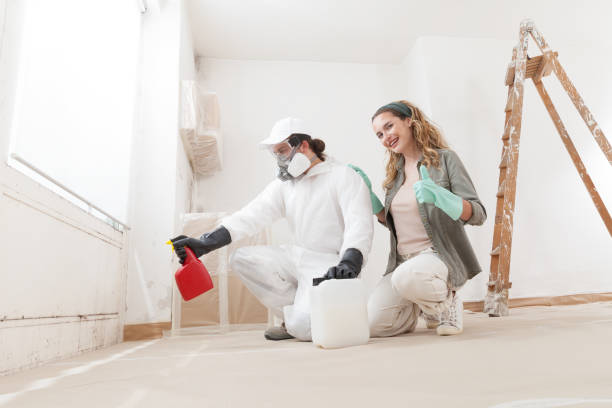 Best Mold Damage Restoration  in Treasure Lake, PA