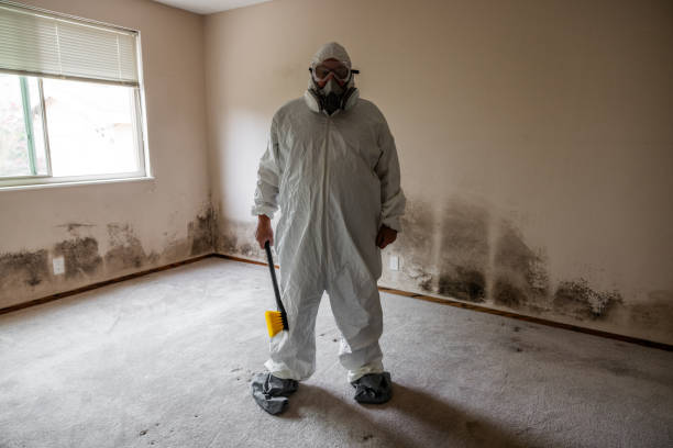Best Black Mold Removal  in Treasure Lake, PA